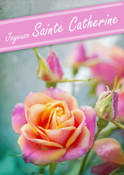Carte Rose Rose Pour La Sainte Catherine : Envoyer une 